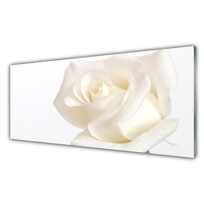 Glass Wall Art Rose floral white
