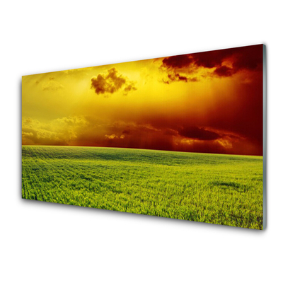 Glass Wall Art Field landscape green