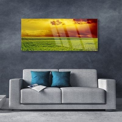 Glass Wall Art Field landscape green