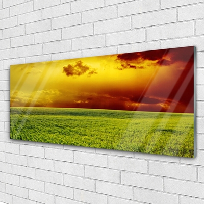 Glass Wall Art Field landscape green