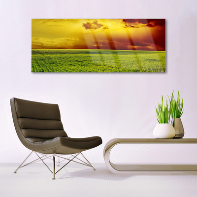 Glass Wall Art Field landscape green