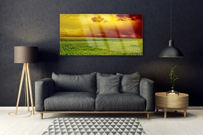 Glass Wall Art Field landscape green