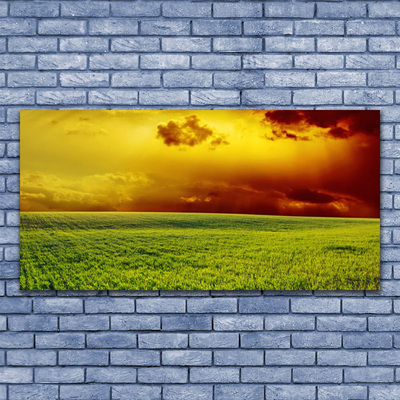 Glass Wall Art Field landscape green