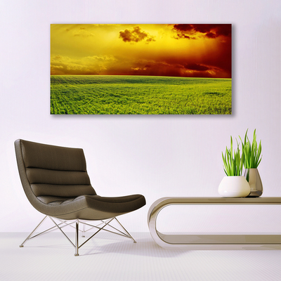 Glass Wall Art Field landscape green