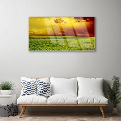 Glass Wall Art Field landscape green