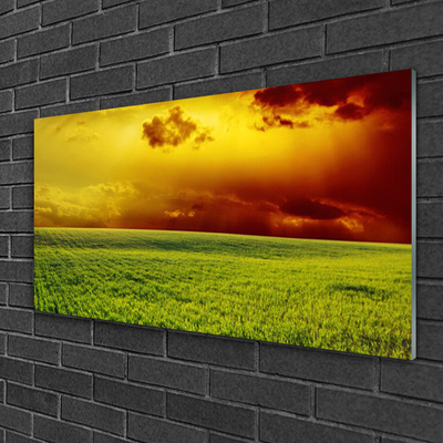 Glass Wall Art Field landscape green