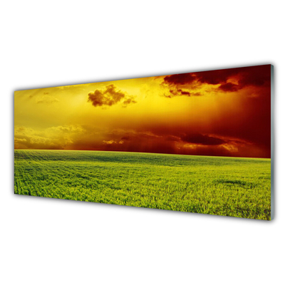 Glass Wall Art Field landscape green