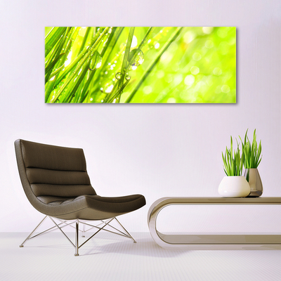 Glass Wall Art Weed nature green