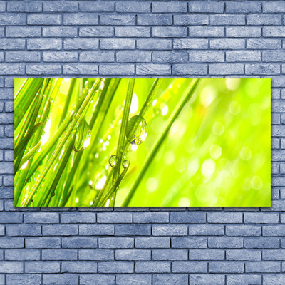 Glass Wall Art Weed nature green