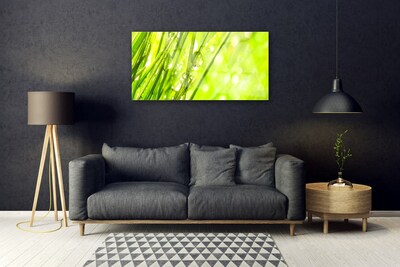 Glass Wall Art Weed nature green