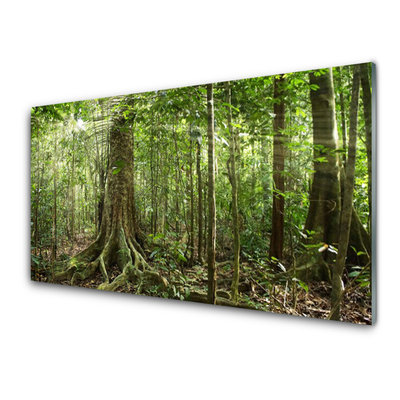 Glass Wall Art Forest nature brown green