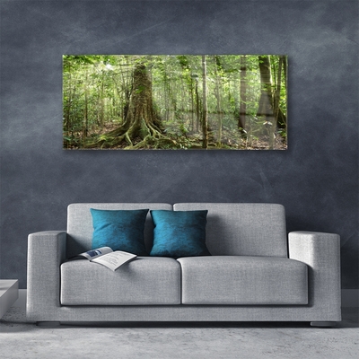 Glass Wall Art Forest nature brown green