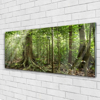 Glass Wall Art Forest nature brown green