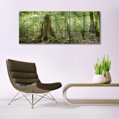 Glass Wall Art Forest nature brown green