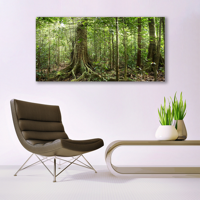 Glass Wall Art Forest nature brown green