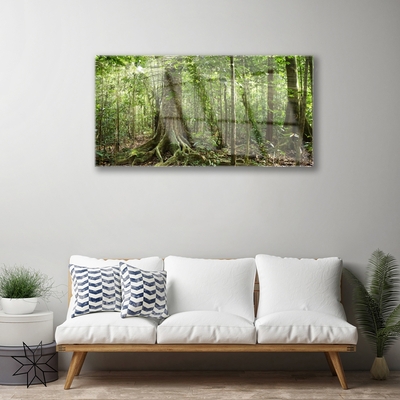 Glass Wall Art Forest nature brown green