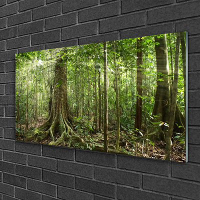 Glass Wall Art Forest nature brown green