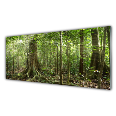 Glass Wall Art Forest nature brown green