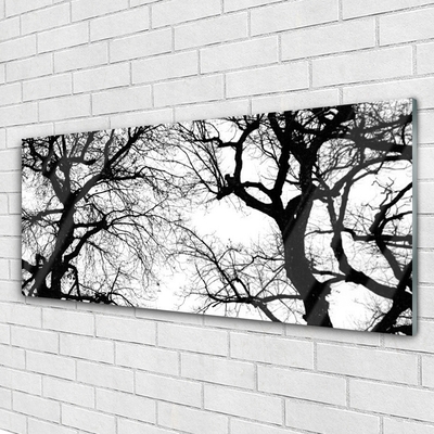 Glass Wall Art Trees nature black