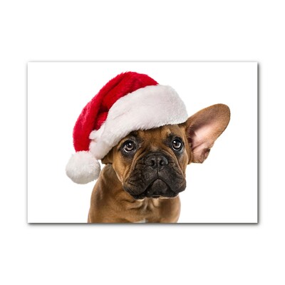 Glass Print Bulldog Dog Christmas