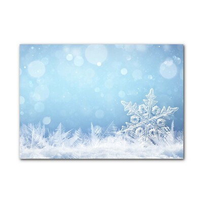 Glass Wall Art Snowflakes Winter Snow