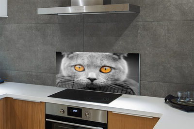 Kitchen Splashback British gray cat