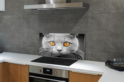 Kitchen Splashback British gray cat