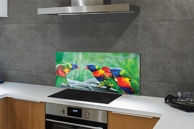 Kitchen Splashback Parrot colorful wave
