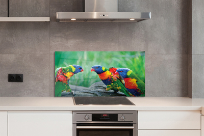 Kitchen Splashback Parrot colorful wave