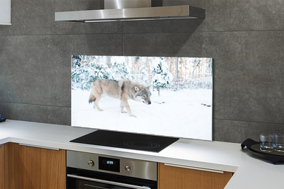 Kitchen Splashback Loup winter forest