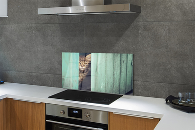 Kitchen Splashback cat Zaglądający