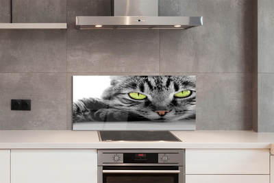 Kitchen Splashback gray-black cat