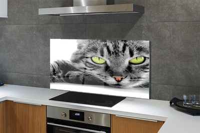 Kitchen Splashback gray-black cat