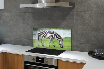 Kitchen Splashback zebra