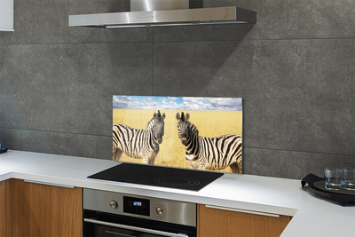 Kitchen Splashback Zebra box