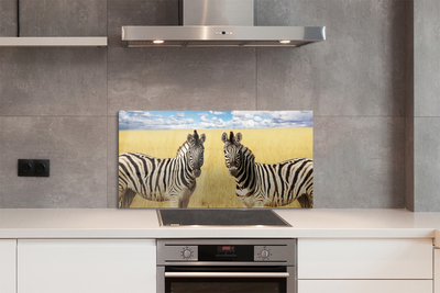 Kitchen Splashback Zebra box