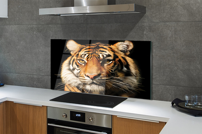 Kitchen Splashback tiger