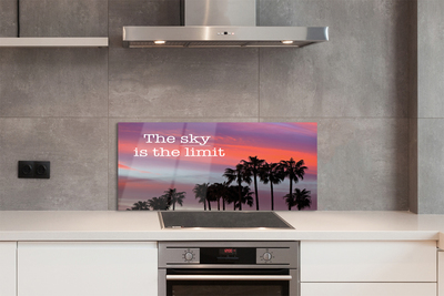 Kitchen Splashback Palm sunset sun