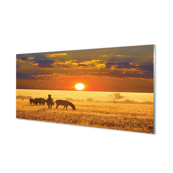 Kitchen Splashback Zebra west clouds