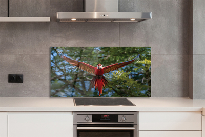 Kitchen Splashback Macaw parrot