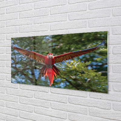 Kitchen Splashback Macaw parrot