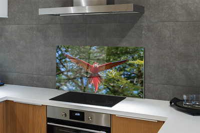 Kitchen Splashback Macaw parrot