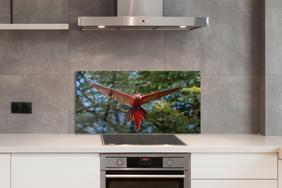 Kitchen Splashback Macaw parrot