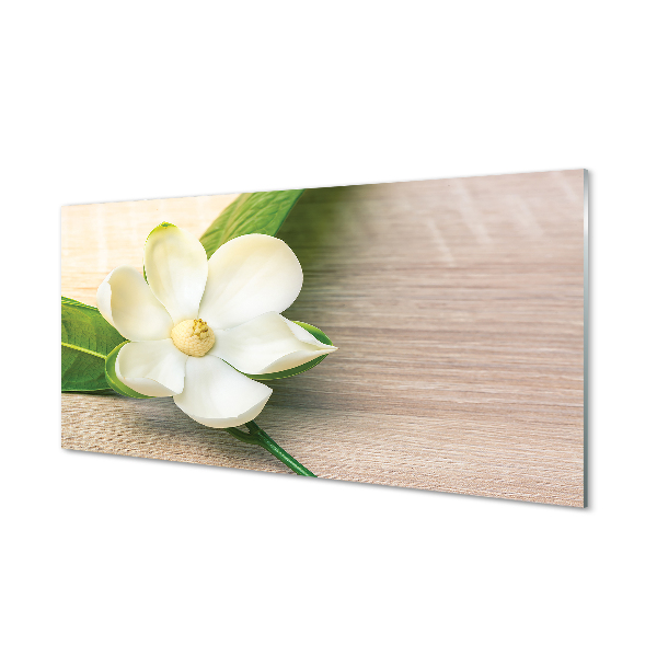 Kitchen Splashback white magnolia
