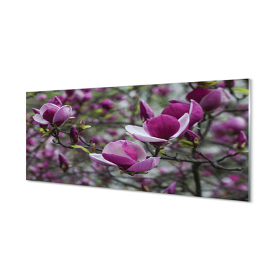 Kitchen Splashback purple magnolia