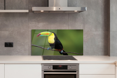 Kitchen Splashback Parrot on a branch colored