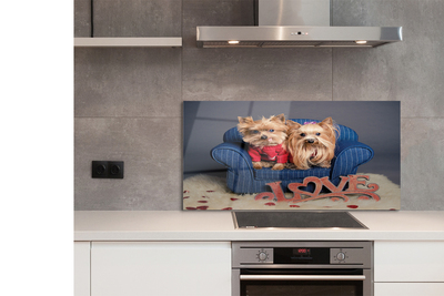 Kitchen Splashback Yorkie