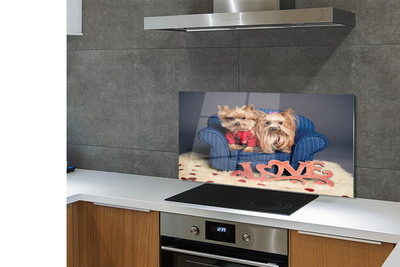 Kitchen Splashback Yorkie