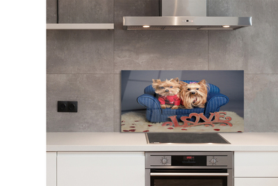 Kitchen Splashback Yorkie