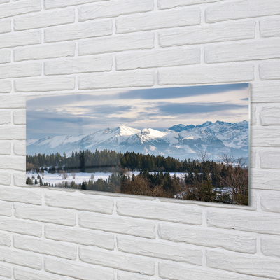 Kitchen Splashback Winterberg